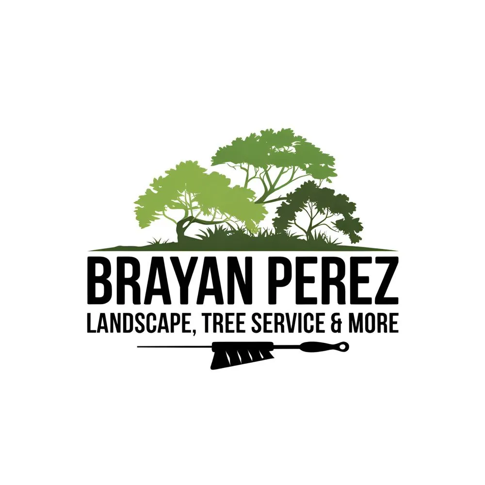 Expert yard cleanup service for outdoor upgrades in San Antonio, TX by Brayan Perez Landscape Tree Service & More