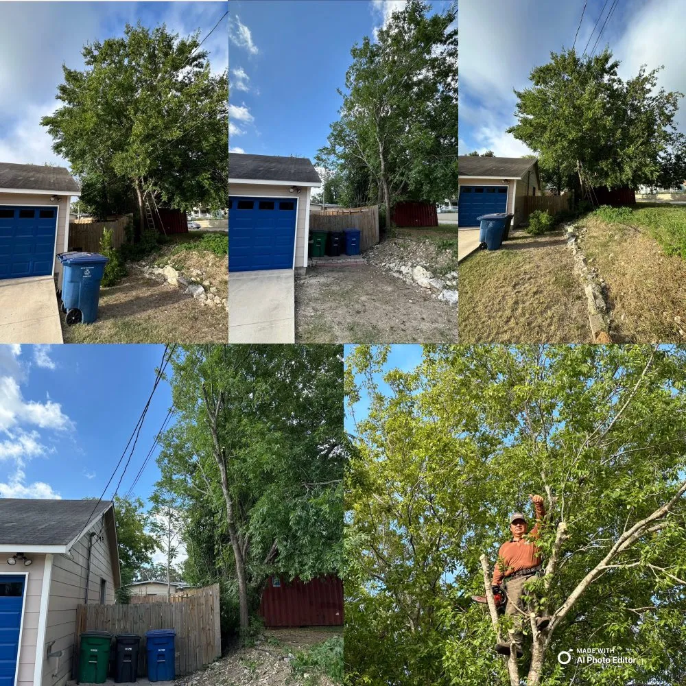 Expert lawn care service experts serving San Antonio, TX - Brayan Perez Landscape Tree Service & More