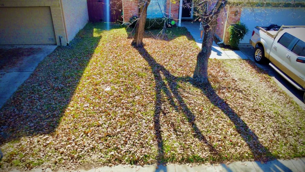 Reliable lawn mowing service in San Antonio, TX - Brayan Perez Landscape Tree Service & More