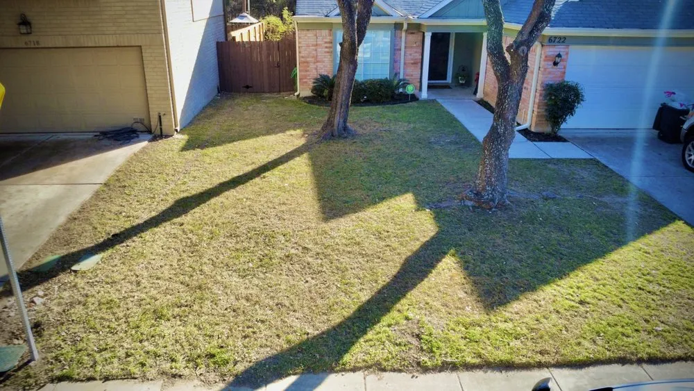 Trusted garden landscaping for residential properties in San Antonio, TX by Brayan Perez Landscape Tree Service & More