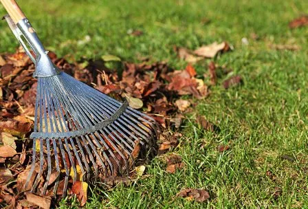 Professional landscape design with custom design across Kansas City, KS - Brayans Lawn Care Service