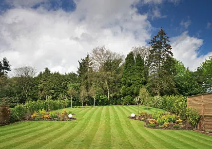 Reliable lawn mowing service in Kansas City, KS - Brayans Lawn Care Service