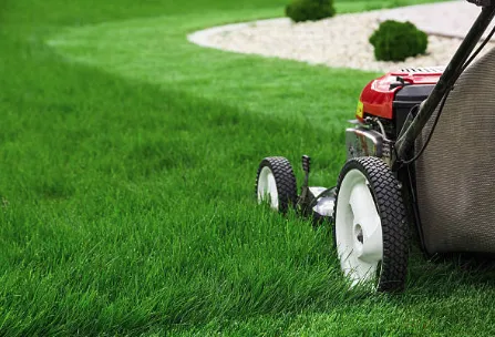 Professional outdoor landscaping experts serving Kansas City, KS - Brayans Lawn Care Service