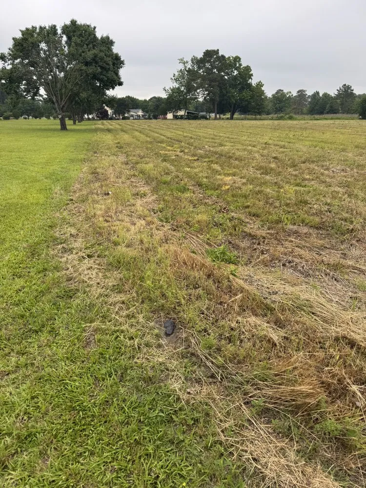 Custom landscape design experts serving Pembroke, NC - Brayboy’s Landscaping, Grading and Hauling