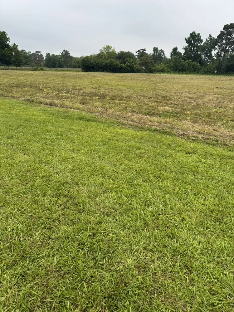 Professional lawn care service with custom design in Pembroke, NC by Brayboy’s Landscaping, Grading and Hauling