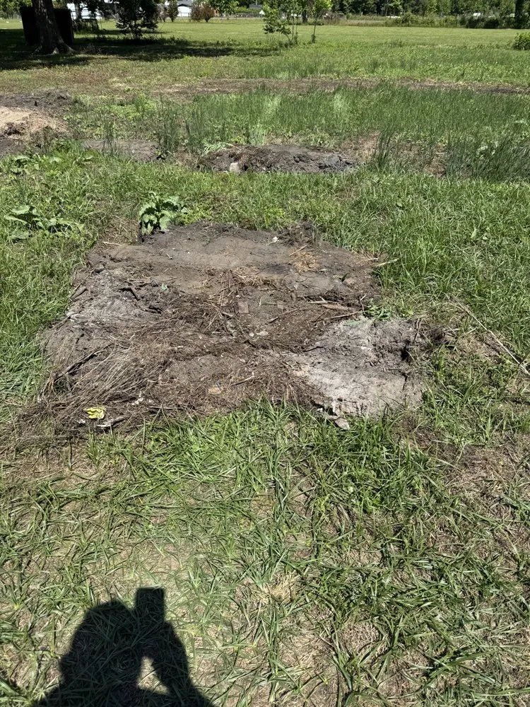 Expert landscaping services in Pembroke, NC - Brayboy’s Landscaping, Grading and Hauling