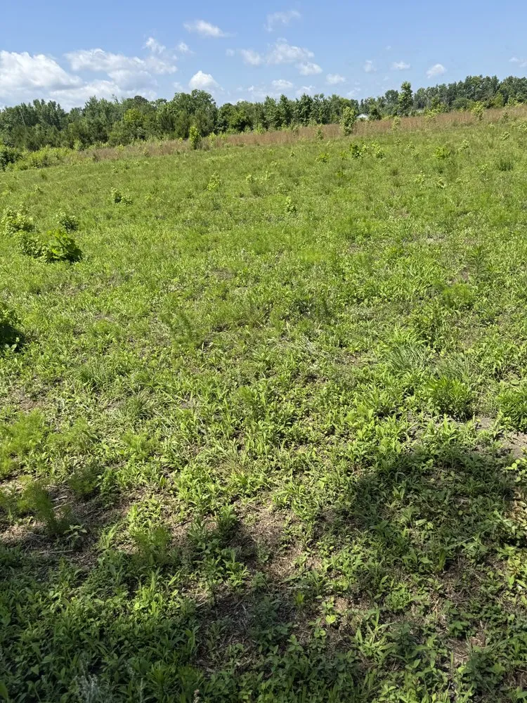 Affordable garden landscaping for year-round maintenance across Pembroke, NC - Brayboy’s Landscaping, Grading and Hauling