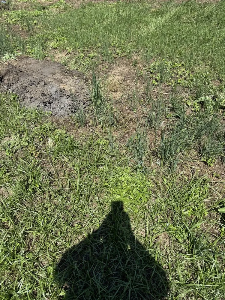 Professional yard maintenance in Pembroke, NC by Brayboy’s Landscaping, Grading and Hauling