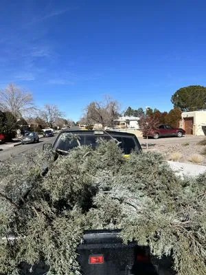 Braydens Landscaping Logo