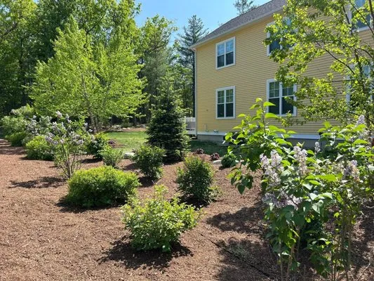 Brayden's Landscaping