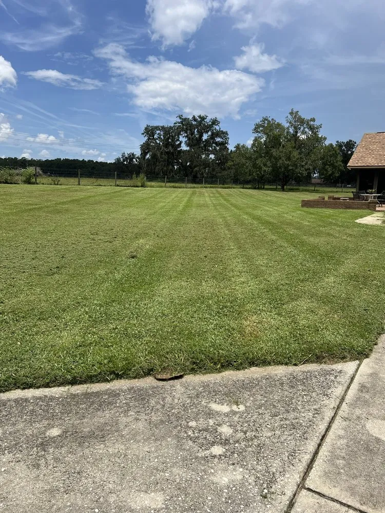Top-rated garden landscaping in Dade City, FL - Brayden’s LawnCare & Junk Removal