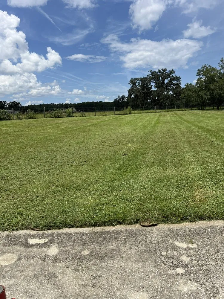 Professional landscape design in Dade City, FL - Brayden’s LawnCare & Junk Removal