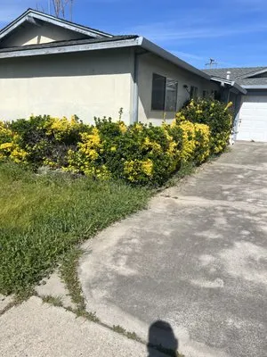 Brayden’s Lawns Logo