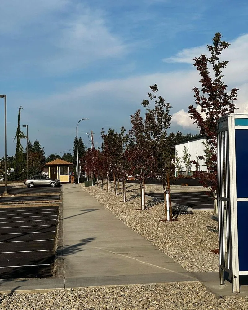 Affordable outdoor landscaping in Olympia, WA - Braydon's Landscaping