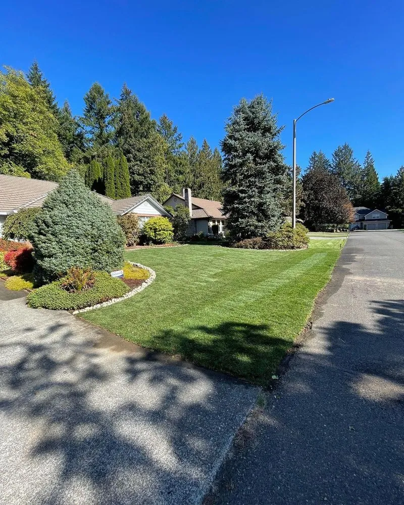 Trusted lawn care service with custom design across Olympia, WA - Braydon's Landscaping