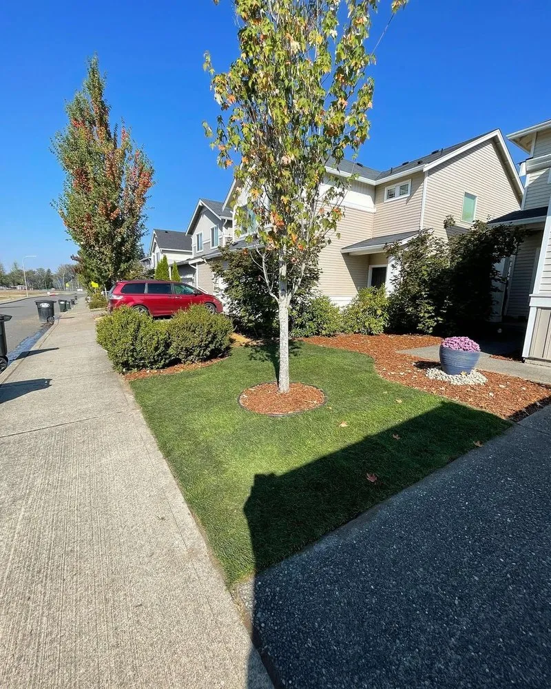 Custom landscape installation in Olympia, WA by Braydon's Landscaping