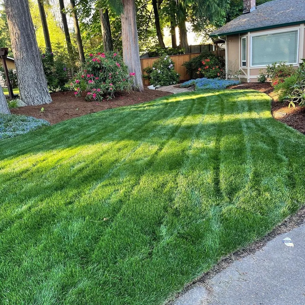 Reliable yard cleanup service near you in Olympia, WA by Braydon's Landscaping