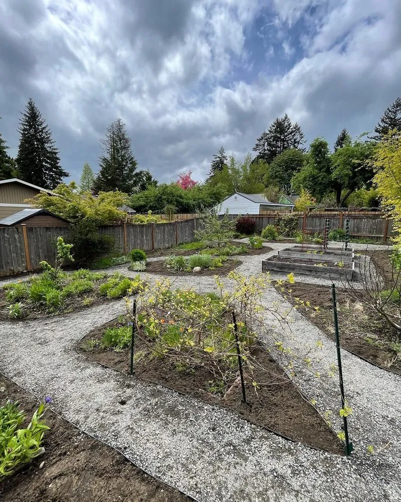 Expert yard cleanup service for year-round maintenance across Olympia, WA - Braydon's Landscaping