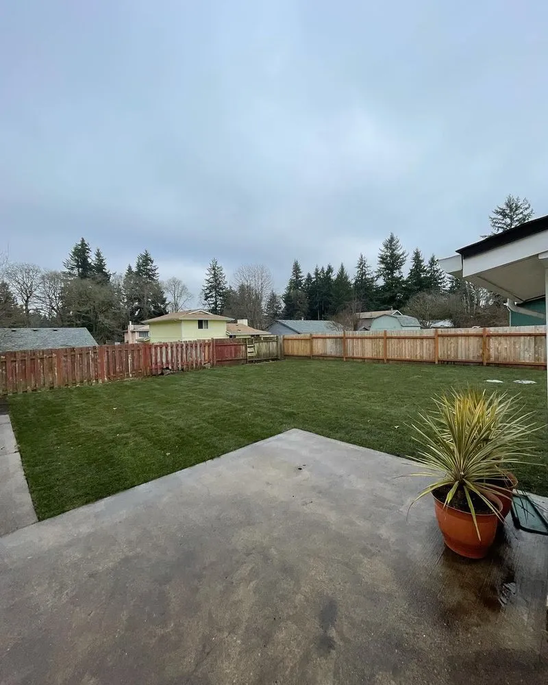 Top-rated yard cleanup service in Olympia, WA - Braydon's Landscaping