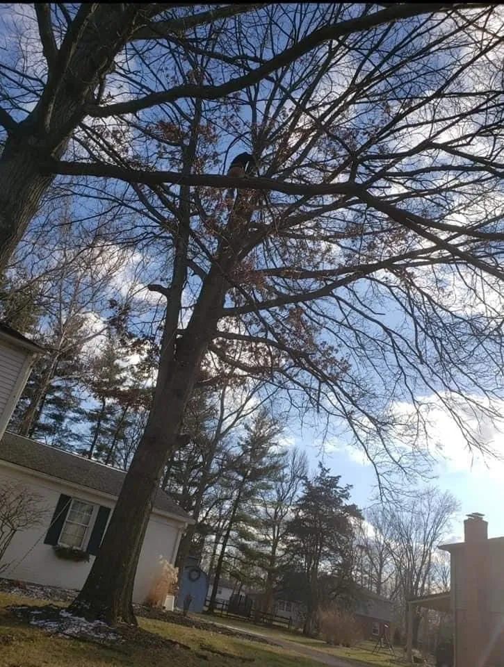 Trusted lawn mowing service experts serving Columbus, OH - Bray’s Arbor Specialists