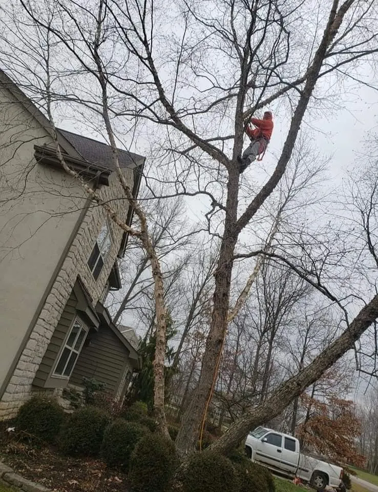 Reliable residential landscaping with custom design across Columbus, OH - Bray’s Arbor Specialists