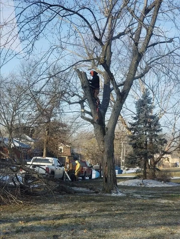 Reliable residential landscaping for homes across Columbus, OH - Bray’s Arbor Specialists