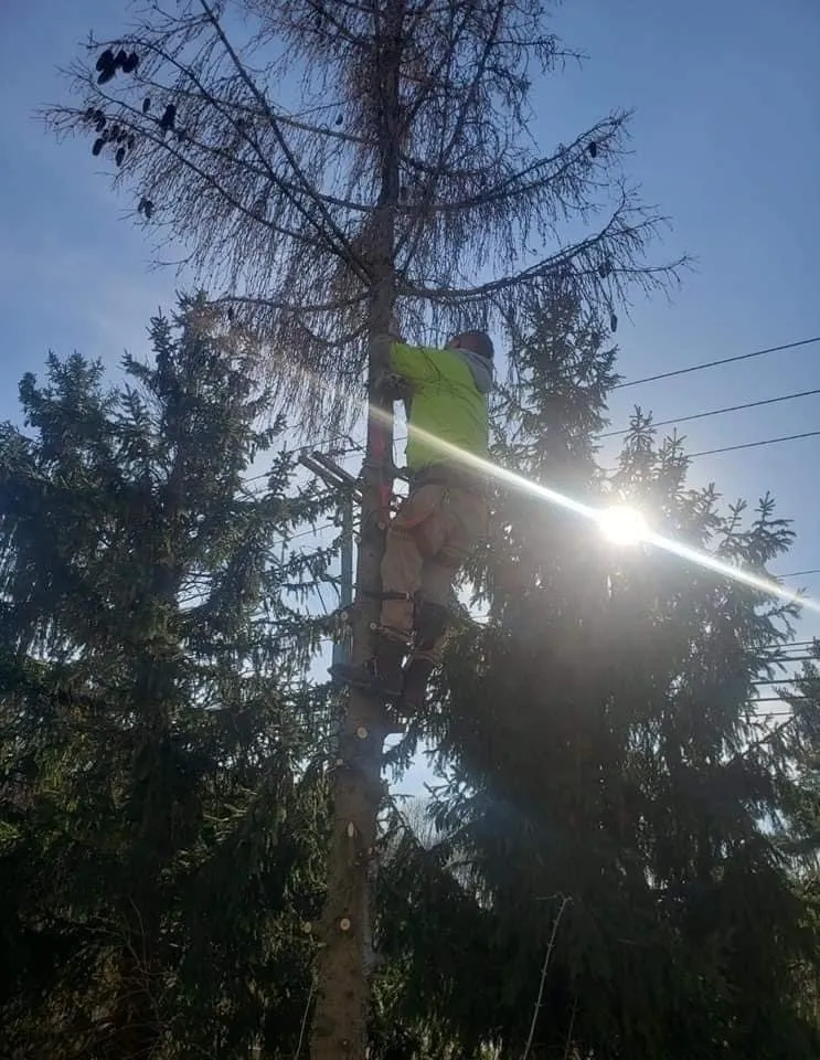 Trusted garden landscaping with custom design in Columbus, OH by Bray’s Arbor Specialists