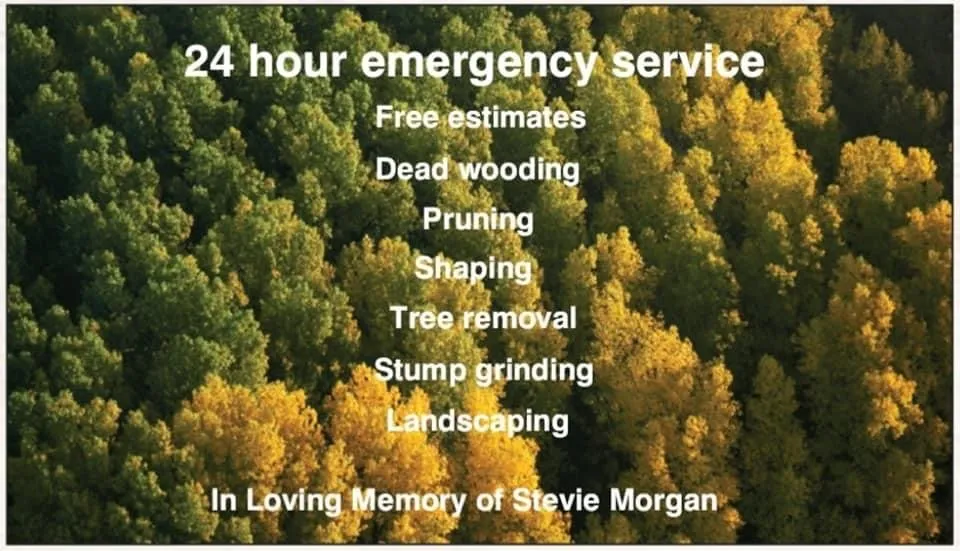 Trusted lawn mowing service in Columbus, OH by Bray’s Arbor Specialists