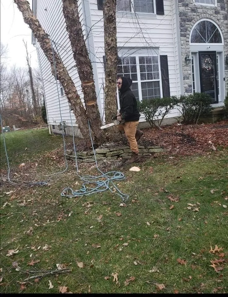 Reliable residential landscaping experts serving Columbus, OH - Bray’s Arbor Specialists