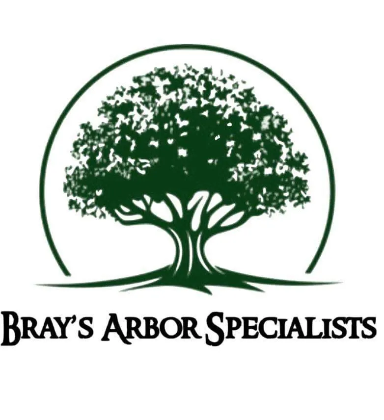 Reliable garden landscaping for homes across Columbus, OH - Bray’s Arbor Specialists