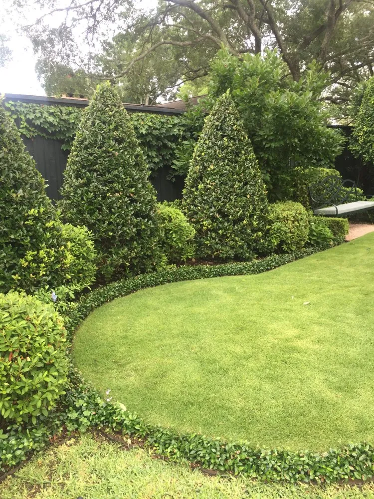 Expert outdoor landscaping for year-round maintenance across Houston, TX - Brays Oaks Landscape