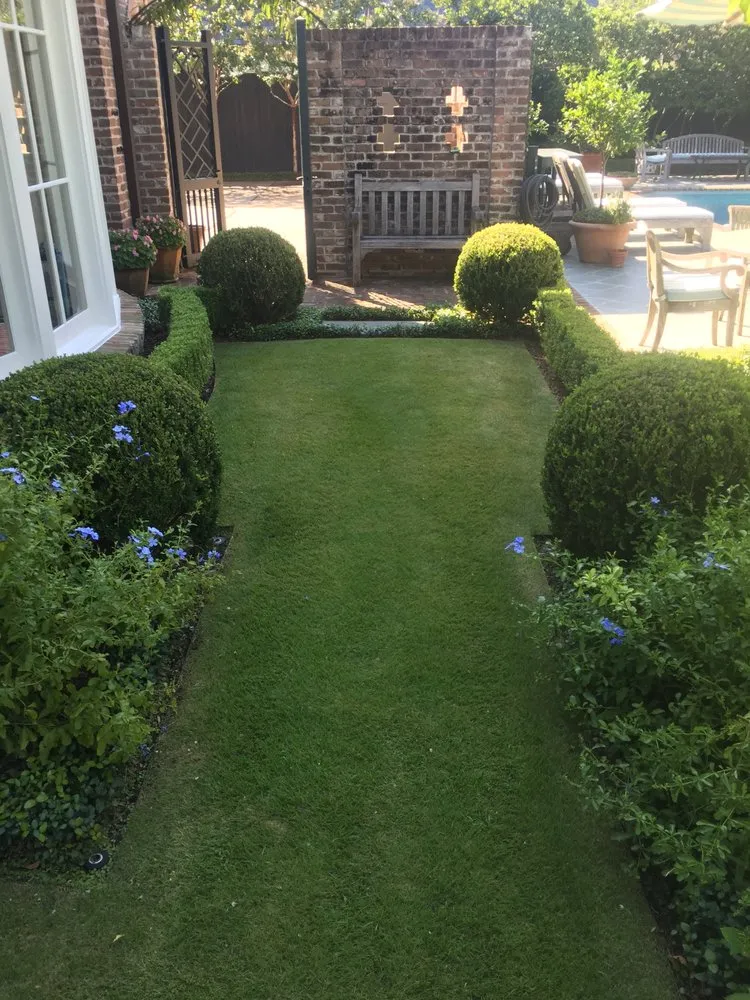 Expert yard maintenance experts serving Houston, TX - Brays Oaks Landscape