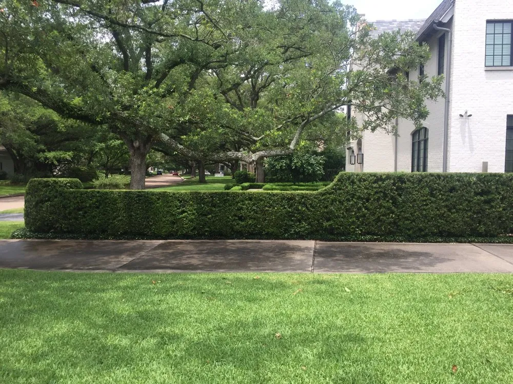 Trusted landscaping services experts serving Houston, TX - Brays Oaks Landscape