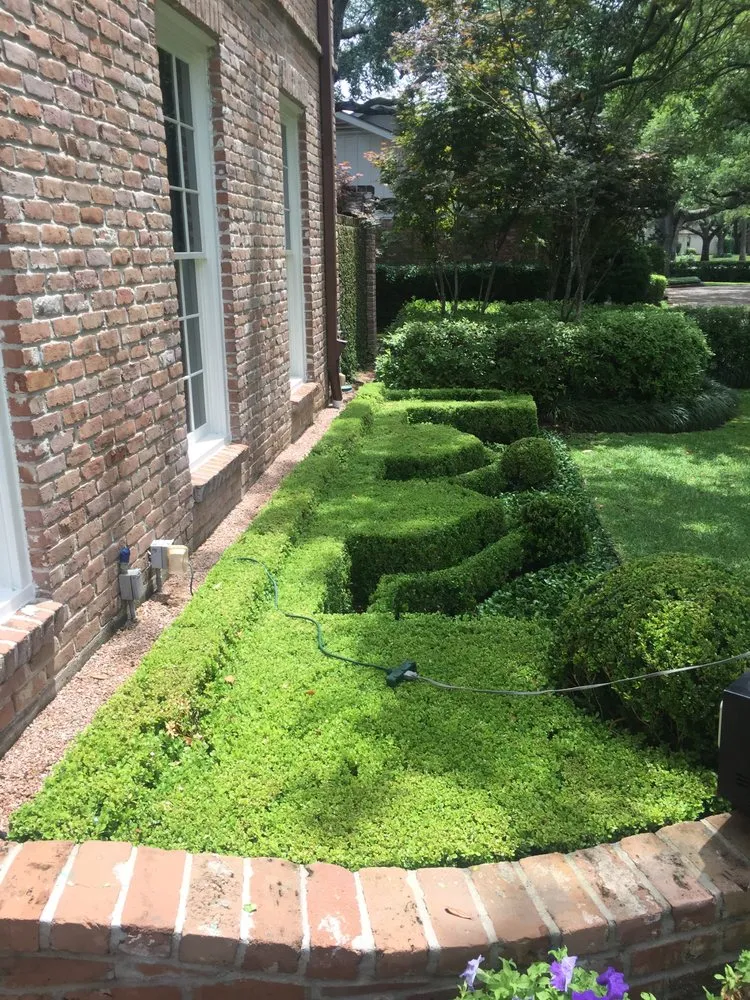 Reliable lawn care service near you across Houston, TX - Brays Oaks Landscape