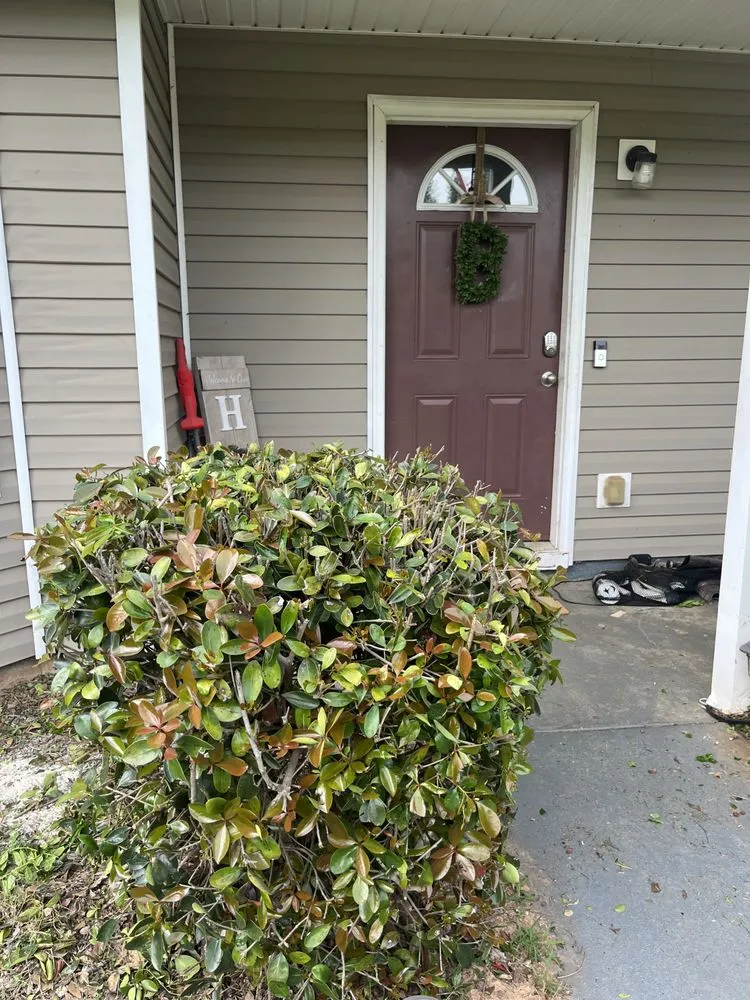 Expert lawn mowing service in Locust Grove, GA - Braytens Lawn Care