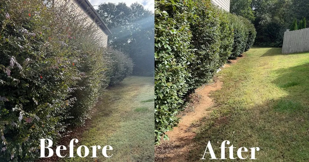 Affordable landscape design experts serving Simpsonville, SC - Brazel Improvements