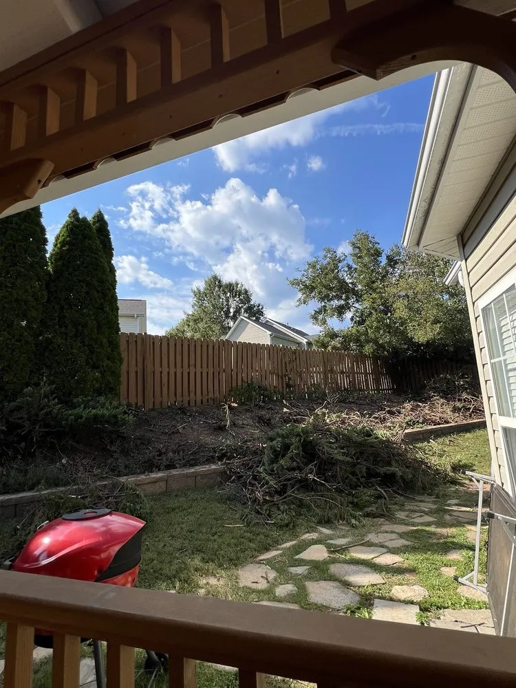 Local lawn care service for year-round maintenance in Simpsonville, SC by Brazel Improvements