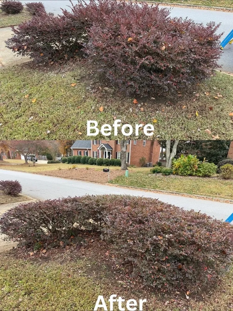 Affordable outdoor landscaping near you in Simpsonville, SC by Brazel Improvements