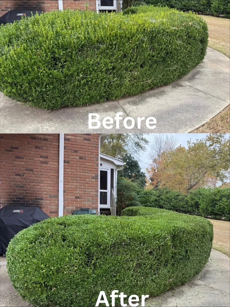 Top-rated yard cleanup service in Simpsonville, SC by Brazel Improvements