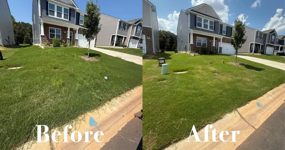 Professional residential landscaping in Simpsonville, SC - Brazel Improvements