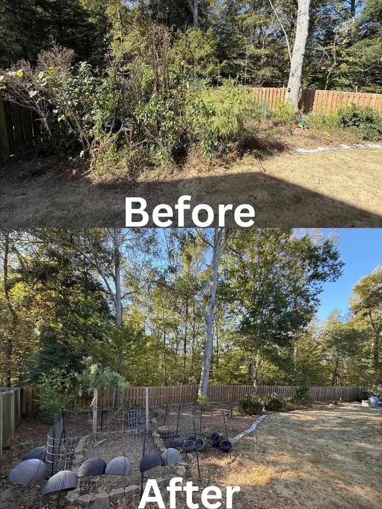 Trusted yard cleanup service experts serving Simpsonville, SC - Brazel Improvements