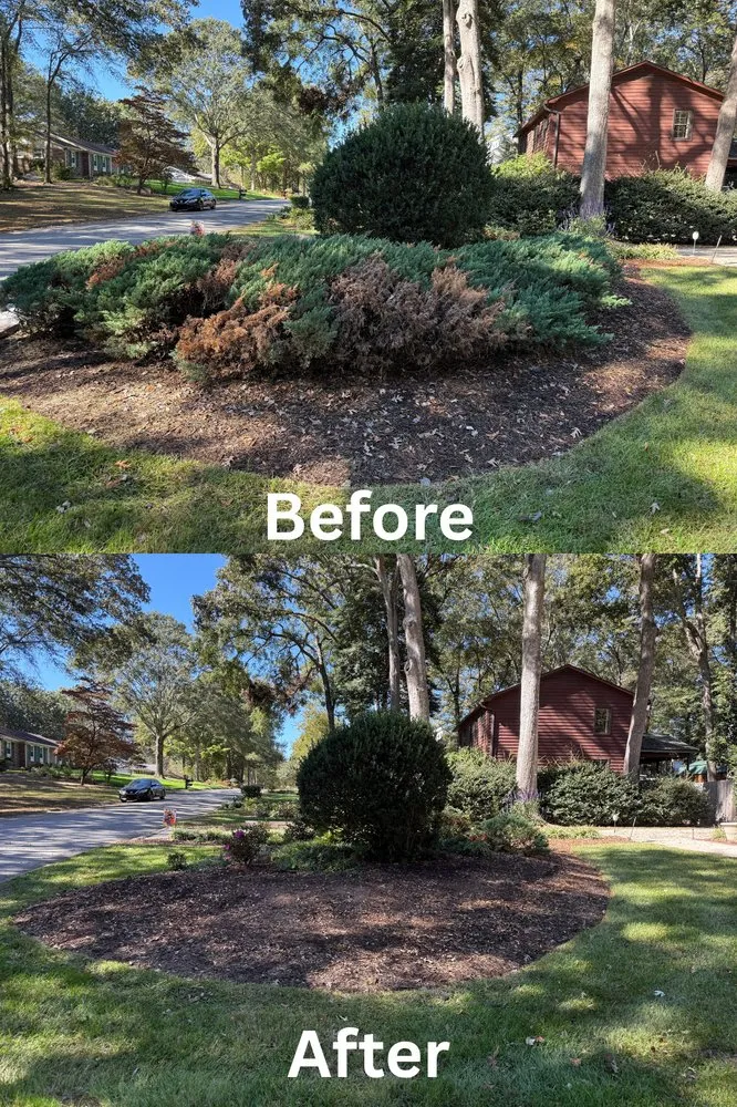 Top-rated landscape installation for beautiful yards in Simpsonville, SC by Brazel Improvements