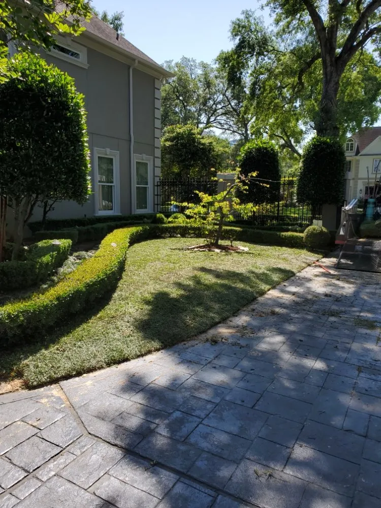 Local landscape installation in Orlando, FL by Brazos Lawn & Landscape