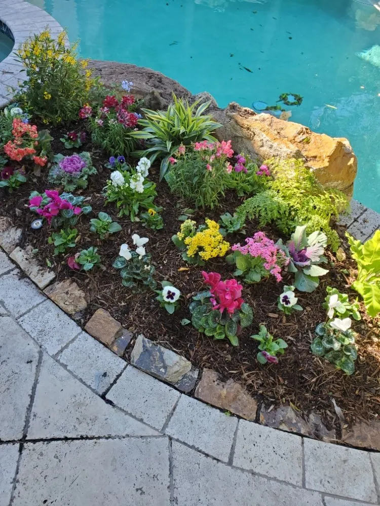 Top-rated landscape installation in Orlando, FL - Brazos Lawn & Landscape