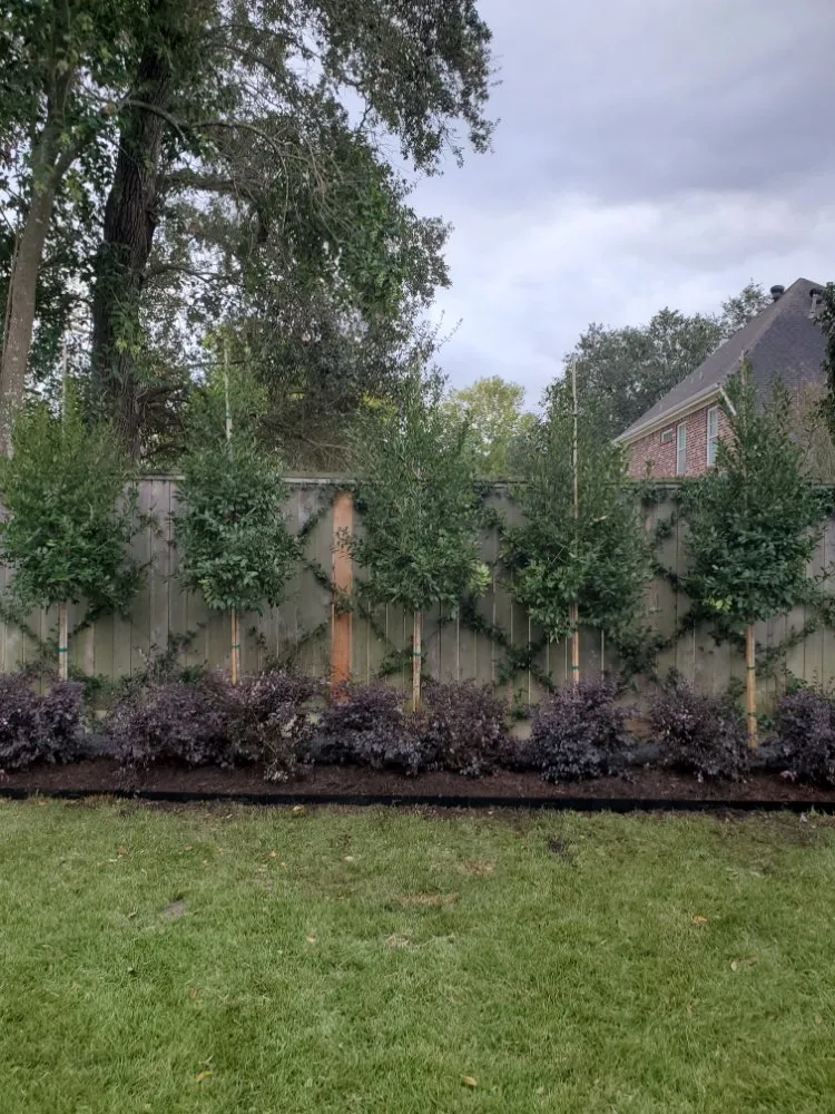 Expert yard cleanup service in Orlando, FL - Brazos Lawn & Landscape