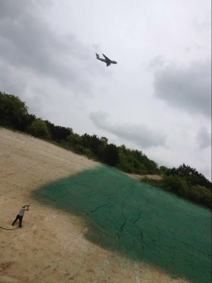 Trusted yard maintenance near you in Brenham, TX by Brazos Valley Hydroseeding