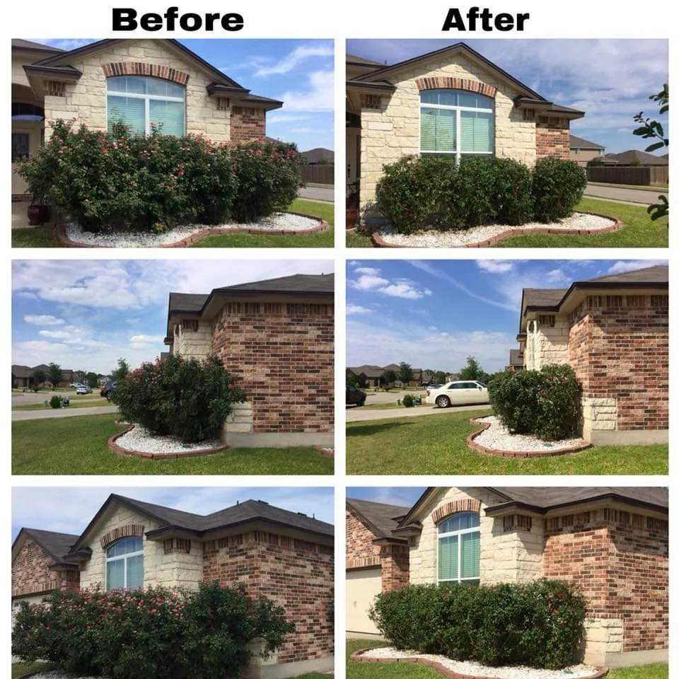 Trusted yard cleanup service experts serving Waco, TX - Brazos Valley Lawn Care