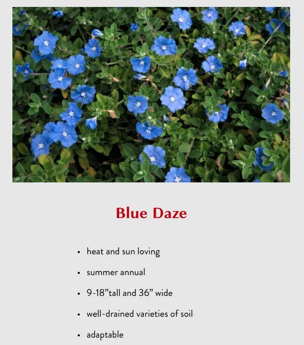 Reliable yard cleanup service for outdoor upgrades in College Station, TX by Brazos Valley Tree Farm Nursery And Garden Center