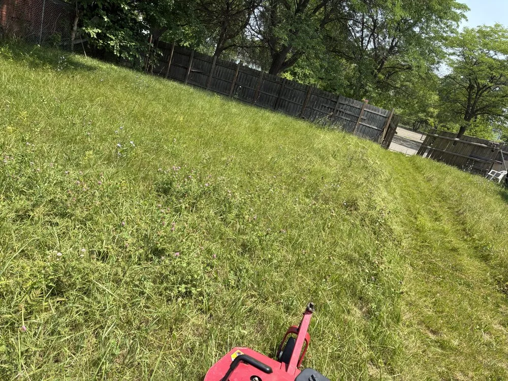 Expert yard maintenance in Westland, MI - Brazy’s Mowing