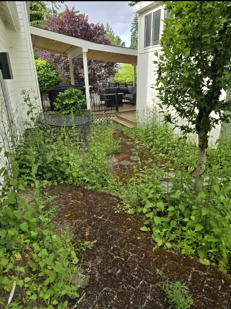 Expert residential landscaping in Bonney Lake, WA by BRC Landscaping